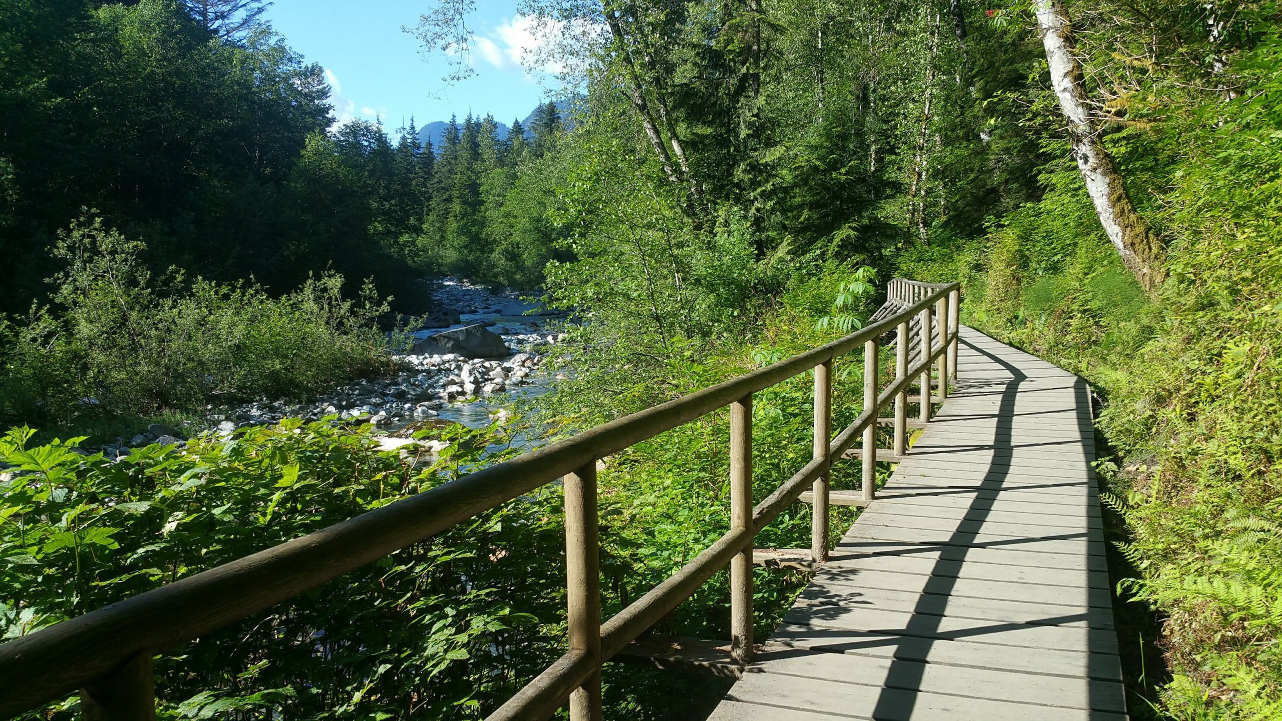 Lynn Canyon Park best things to do hiking trails